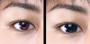 Contacts All Black