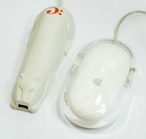 cat and mouse
