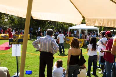 dog show