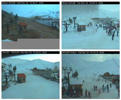 faraya