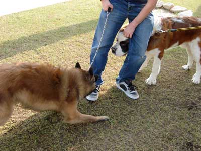 Geo and Friend