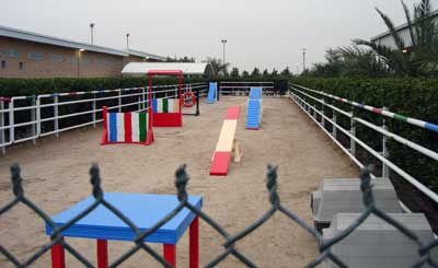 International Veterinary Hospital