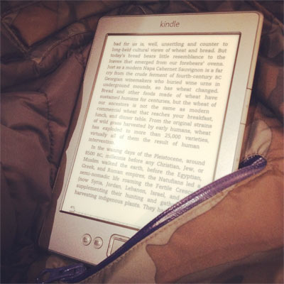 Kindle Jackets on My Kindle Review